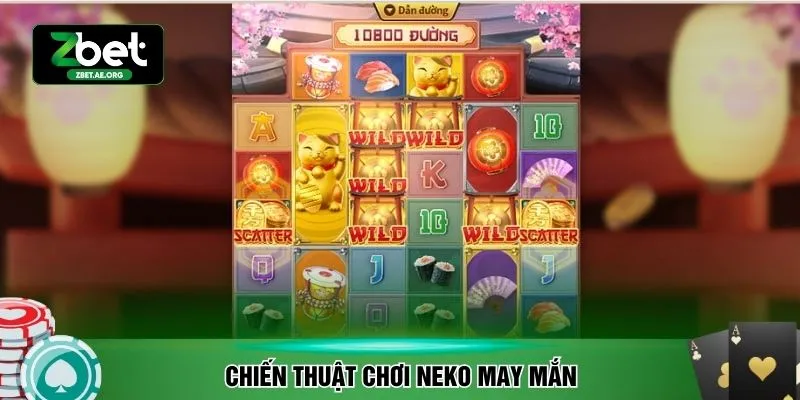 Chiến thuật chơi Neko may mắn