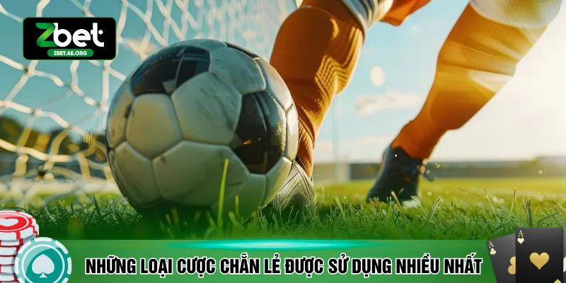 Những loại cược chẵn lẻ được sử dụng nhiều nhất