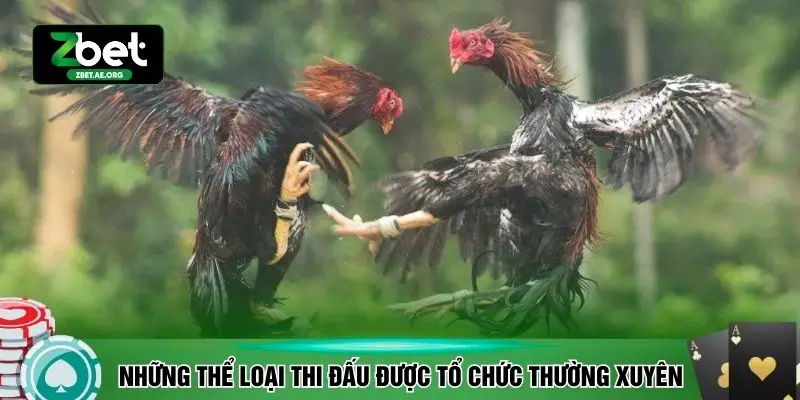 Những thể loại thi đấu được tổ chức thường xuyên